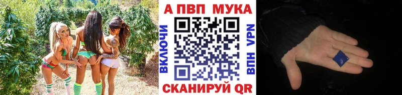 A-PVP СК КРИС мега сайт Северодвинск