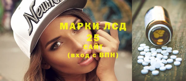 шишки Алексин