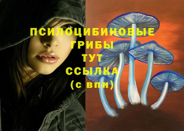 марки nbome Абаза