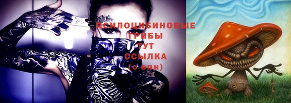 прущая мука Алзамай